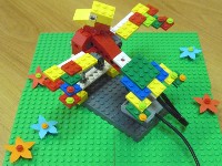 �����������