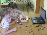 �����������